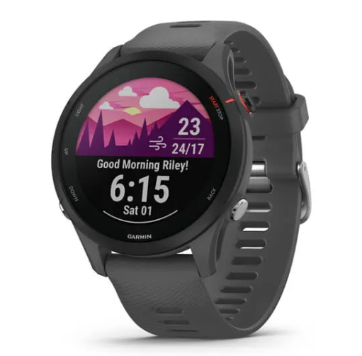 Garmin ForeRunner 255 GPS Fitness Running Watch | Grey