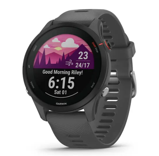 [49-GAR-010-02641-10] Garmin ForeRunner 255 GPS Fitness Running Watch | Grey